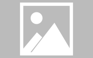 陕西网页设计英文默认字体（网页设置英文转换中文）